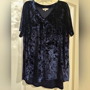 Amaryllis Women's V-neck Crushed Velvet T-shirt Top, Size L